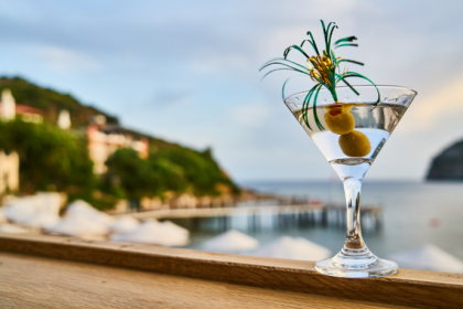 André Luiz Veiga Lauria