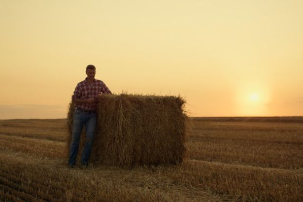 Carlos Eduardo Moraes Nunes