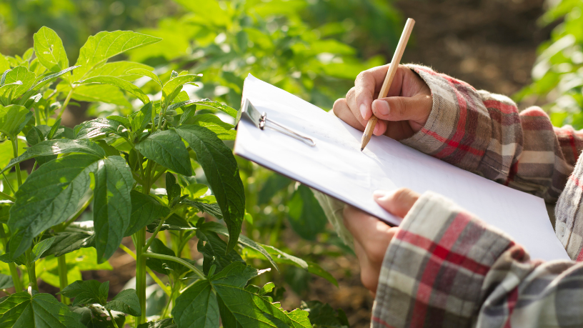 Para Aldo Vendramin, entender o território é essencial para impulsionar inovação e prosperidade no campo.
