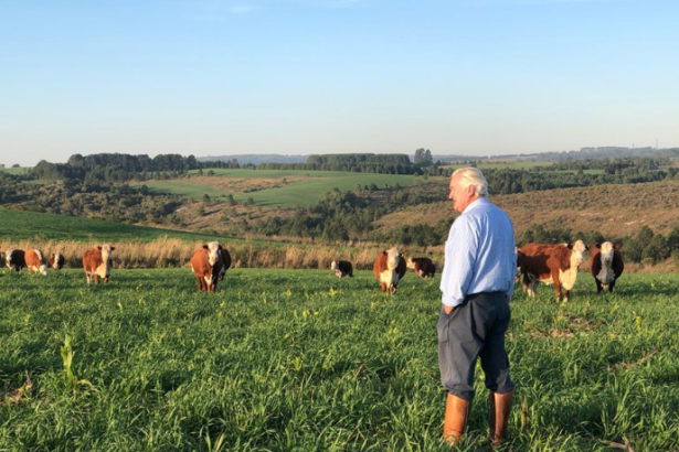 Aldo Vendramin mostra como o agro transforma territórios, gera desenvolvimento e fortalece identidades locais.