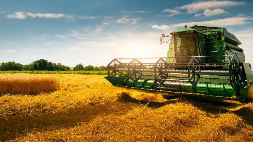 Alfredo Moreira Filho