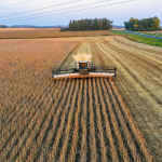 Alfredo Moreira Filho