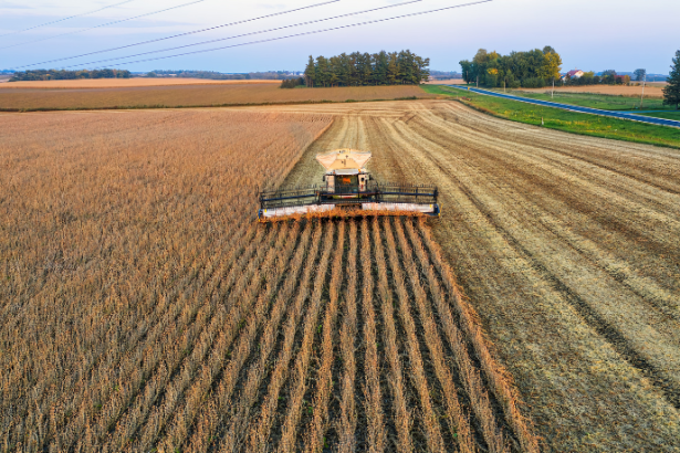 Alfredo Moreira Filho